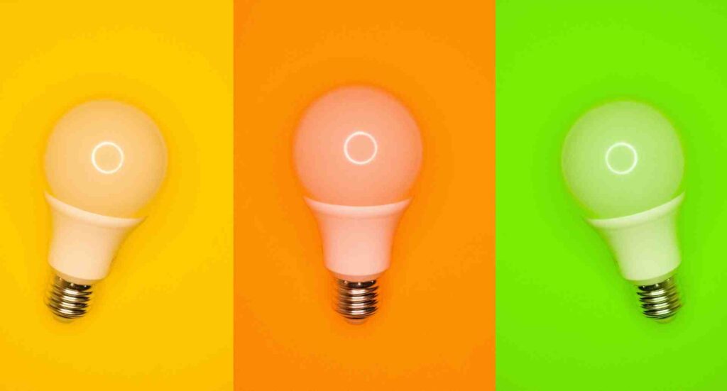 Cognitive Biases in Marketing Explained