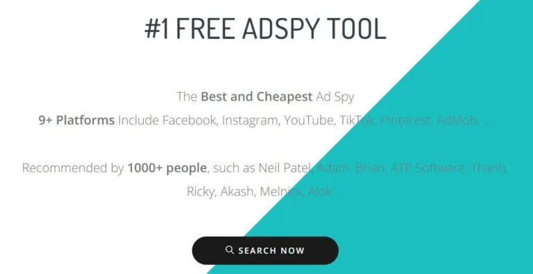 bigspy-review-online-tool