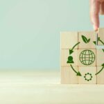 Embracing Circular Economy for Sustainable Business Growth