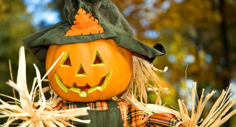 Spooky & Stylish: Selecting Halloween-Themed Stock Images to Enliven Your Campaign